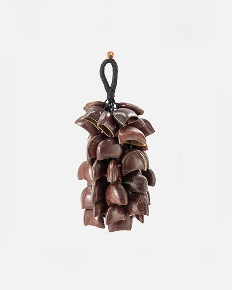 Sea Rattle image 0