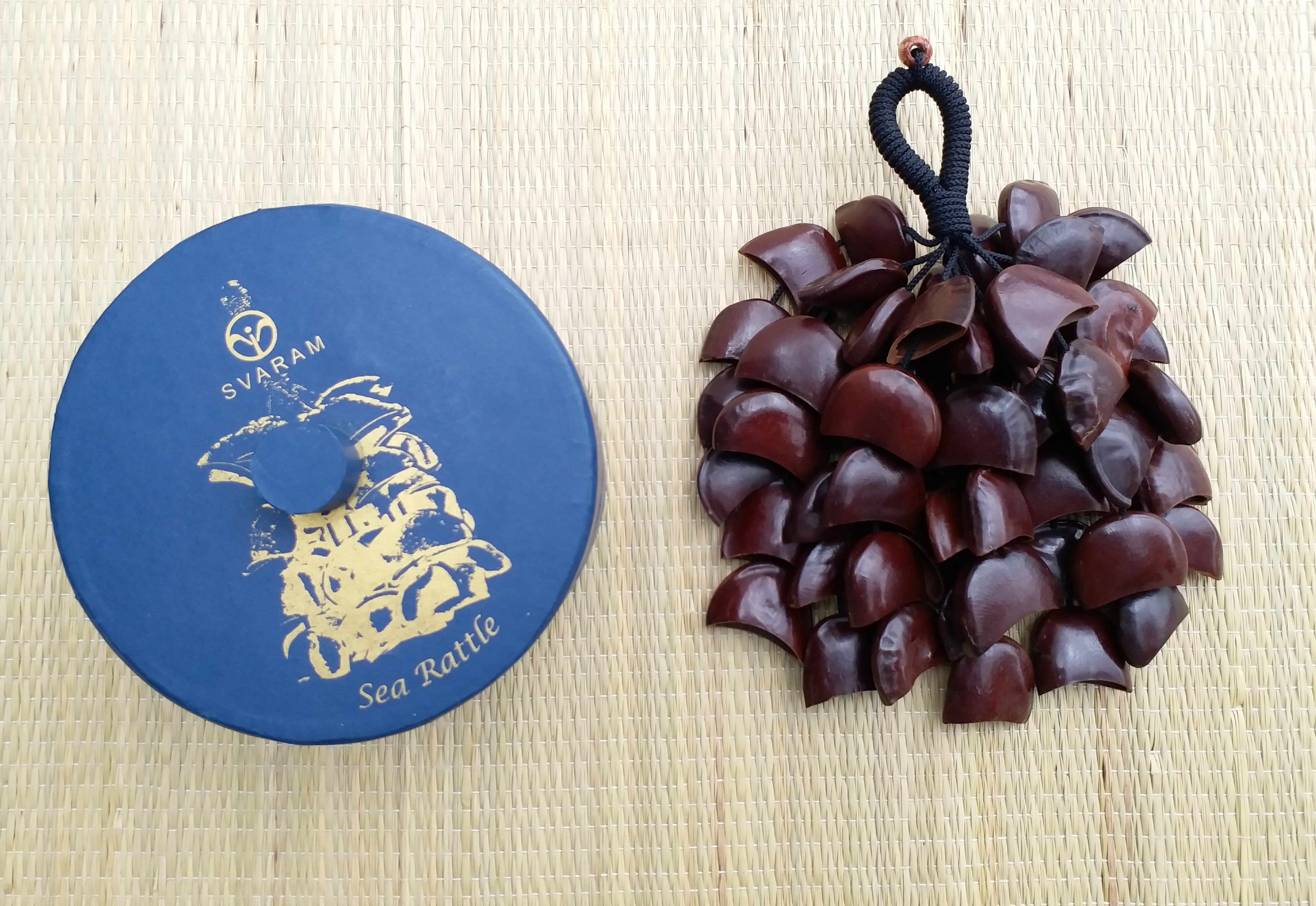 Sea Rattle image 3