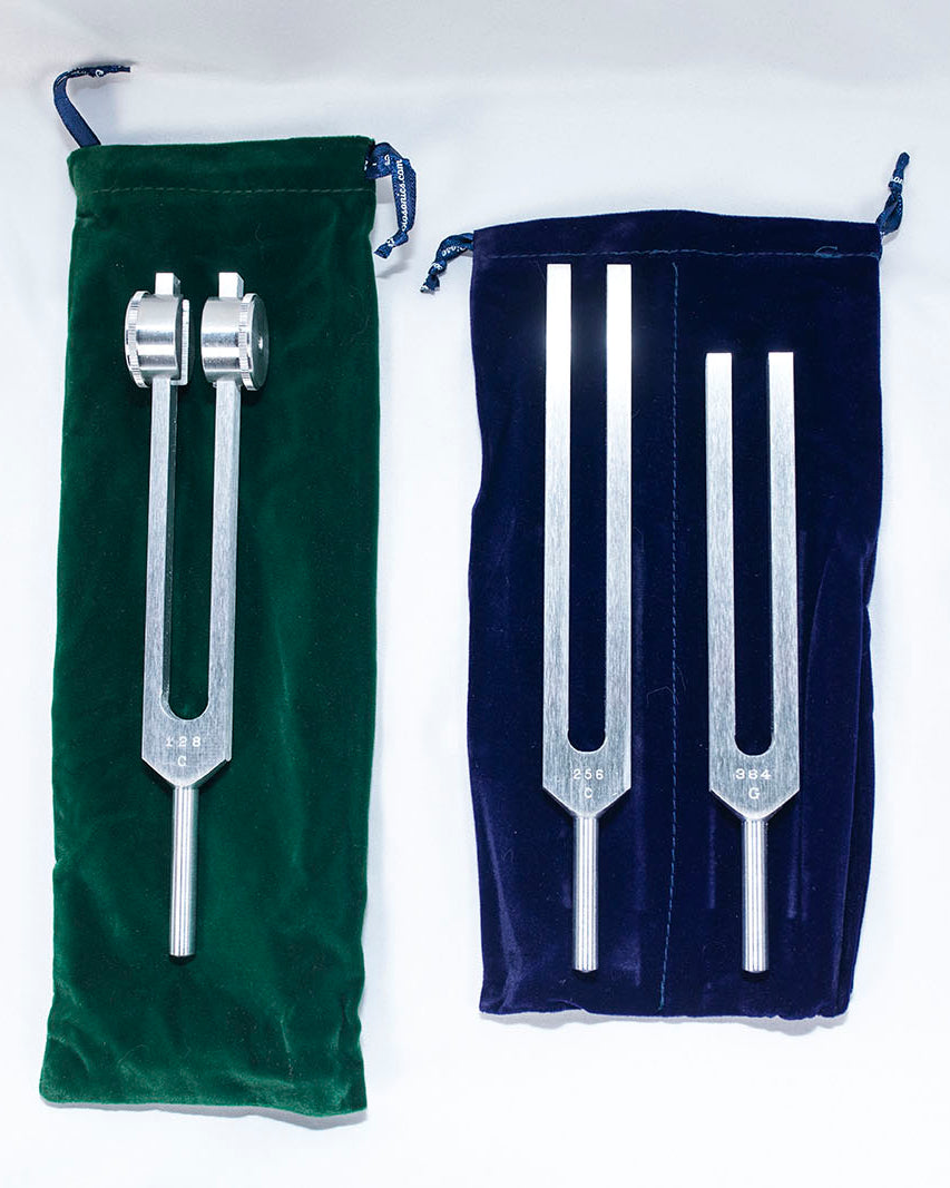 Beginner's Set - Tuning Forks Only image 0