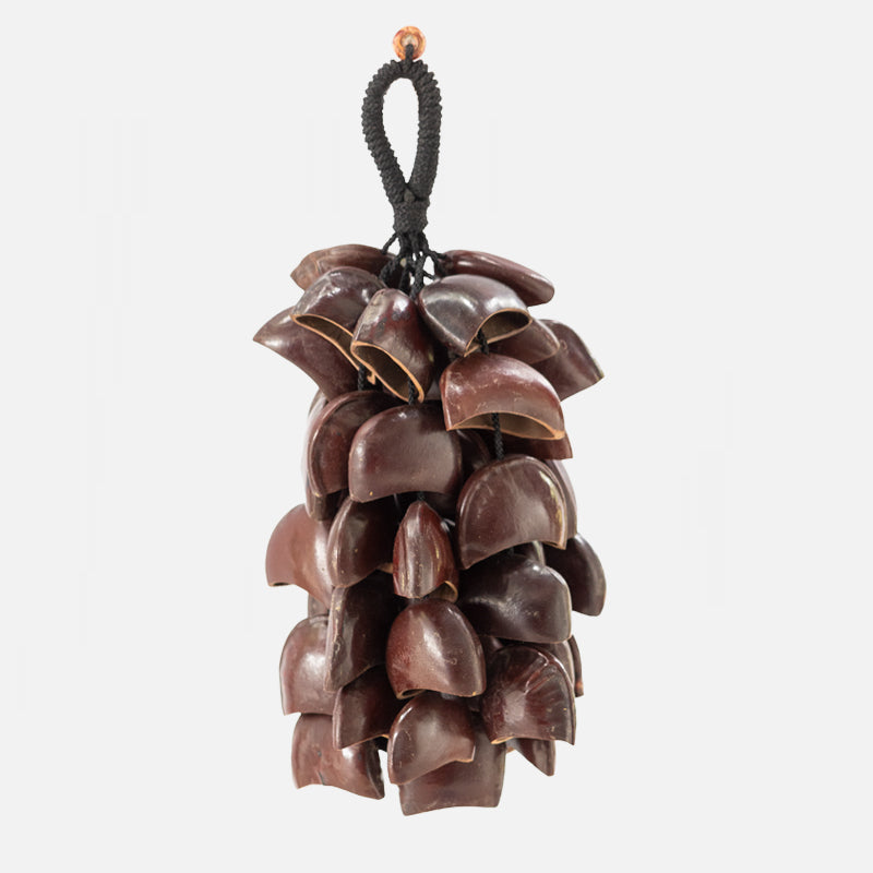 Sea Rattle image 1