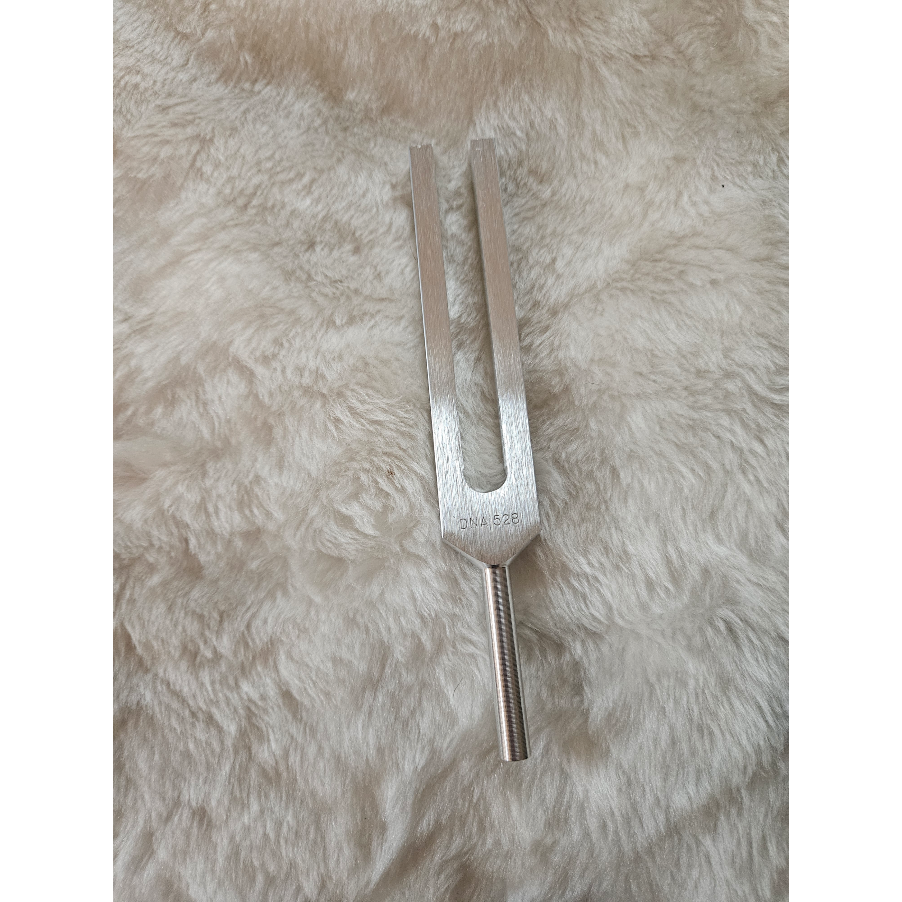 DNA 528 - Unweighted image 1