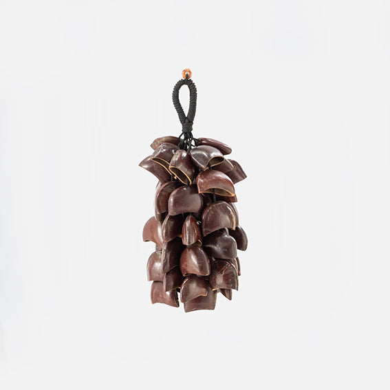Sea Rattle image 0