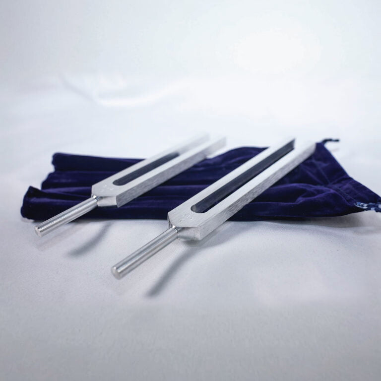 Body Tuner - C256 & G384 image 2