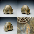 Double Flute image 6