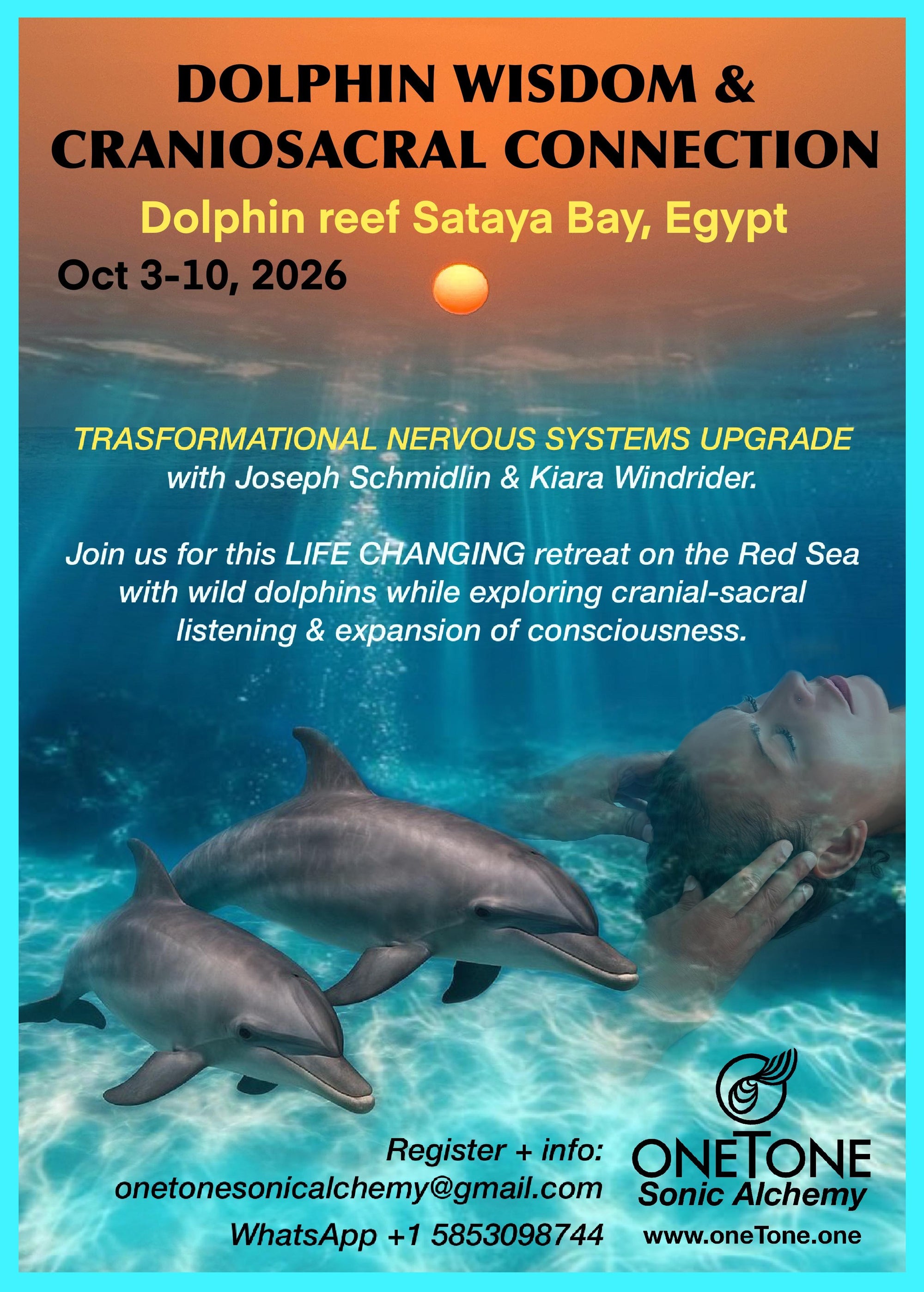 Dolphins and Cranial-Sacral Experience