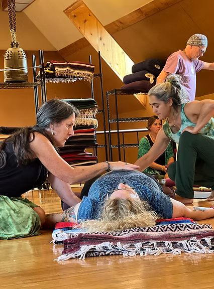 ONETONE Sonic Alchemy Harmonic Spine sound healing workshop in Rochester, New York featuring Svaram instruments from Auroville