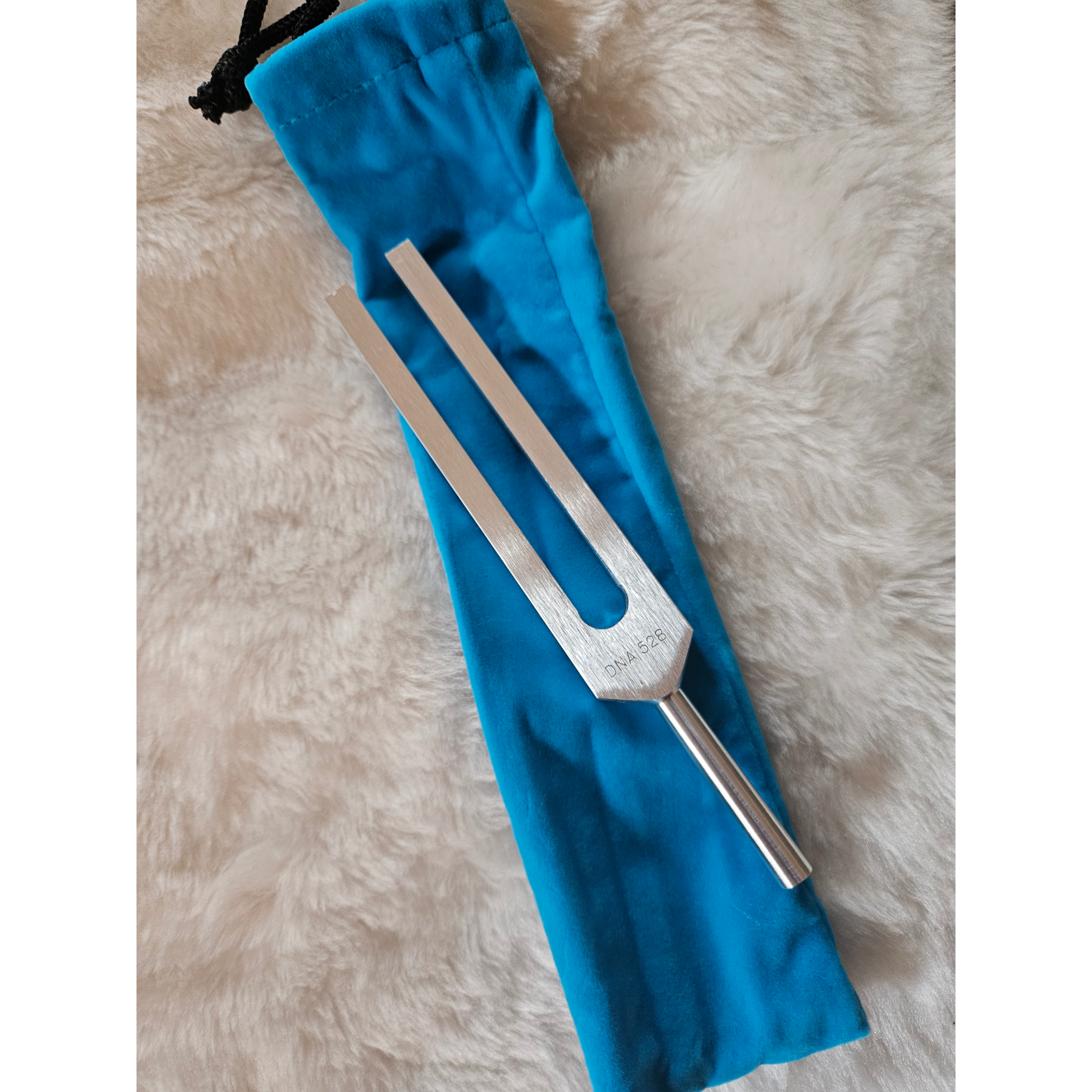 DNA 528 - Unweighted image 0